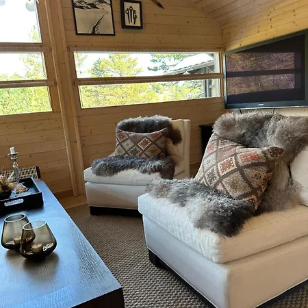 Special In Sirdal Holiday home Tjorhom